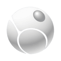 PlusPetanque Logo